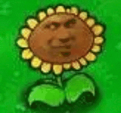 ���˱����