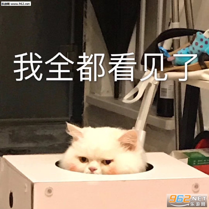 生活没了盼头表情包 生活没了盼头表情包