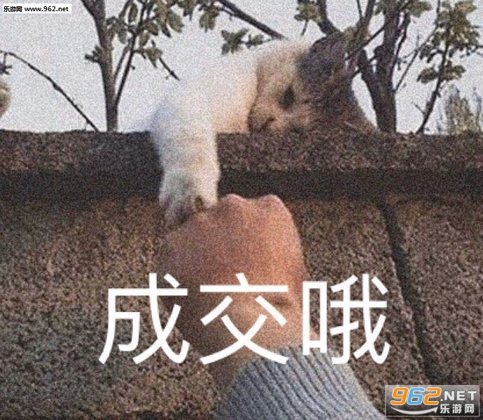 �㿴������������Ǯ������