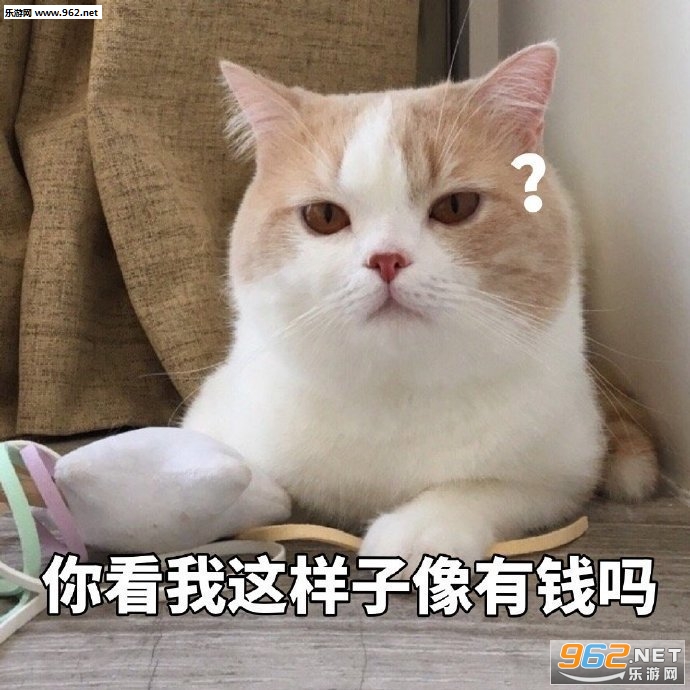 �㿴������������Ǯ������