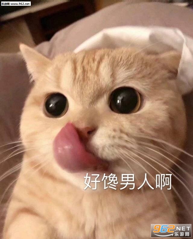 ��Ϊ̫���������˱����