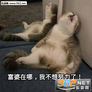 �ܸ��ҽ��ܼ�������������