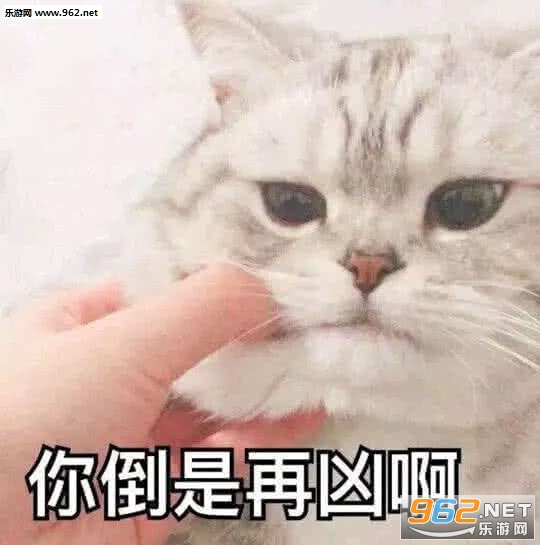 �㵹�����װ������