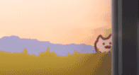 eveonecat�����