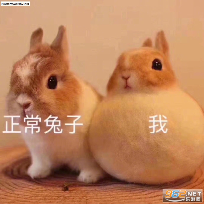 你们长什么样来着表情包 你们长什么样来着表情包
