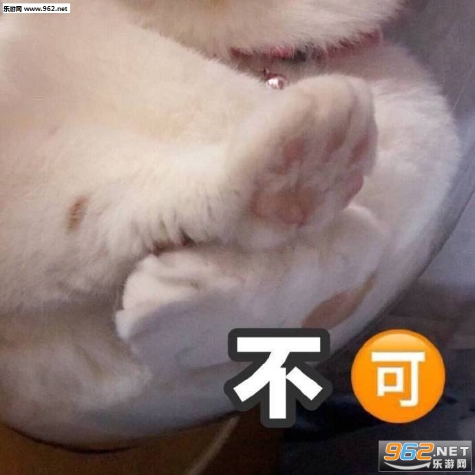 我有你崽崽了表情包 我有你崽崽了表情包