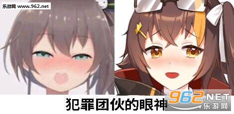 �����Ż����������