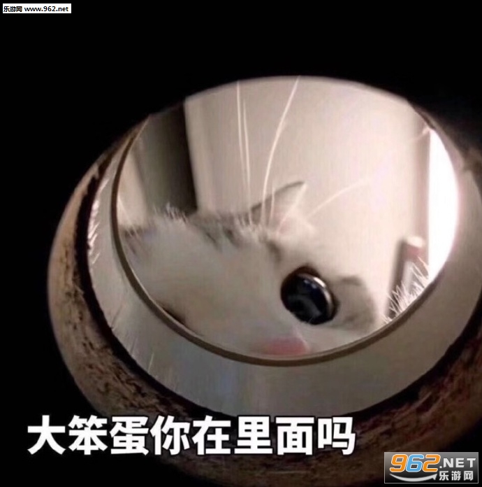 大笨蛋你在里面吗表情包 大笨蛋你在里面吗表情包