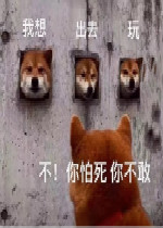 �����ȥ�治�������㲻��ͼƬ