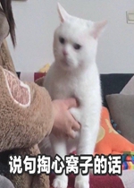 ˵���������ӵĻ������