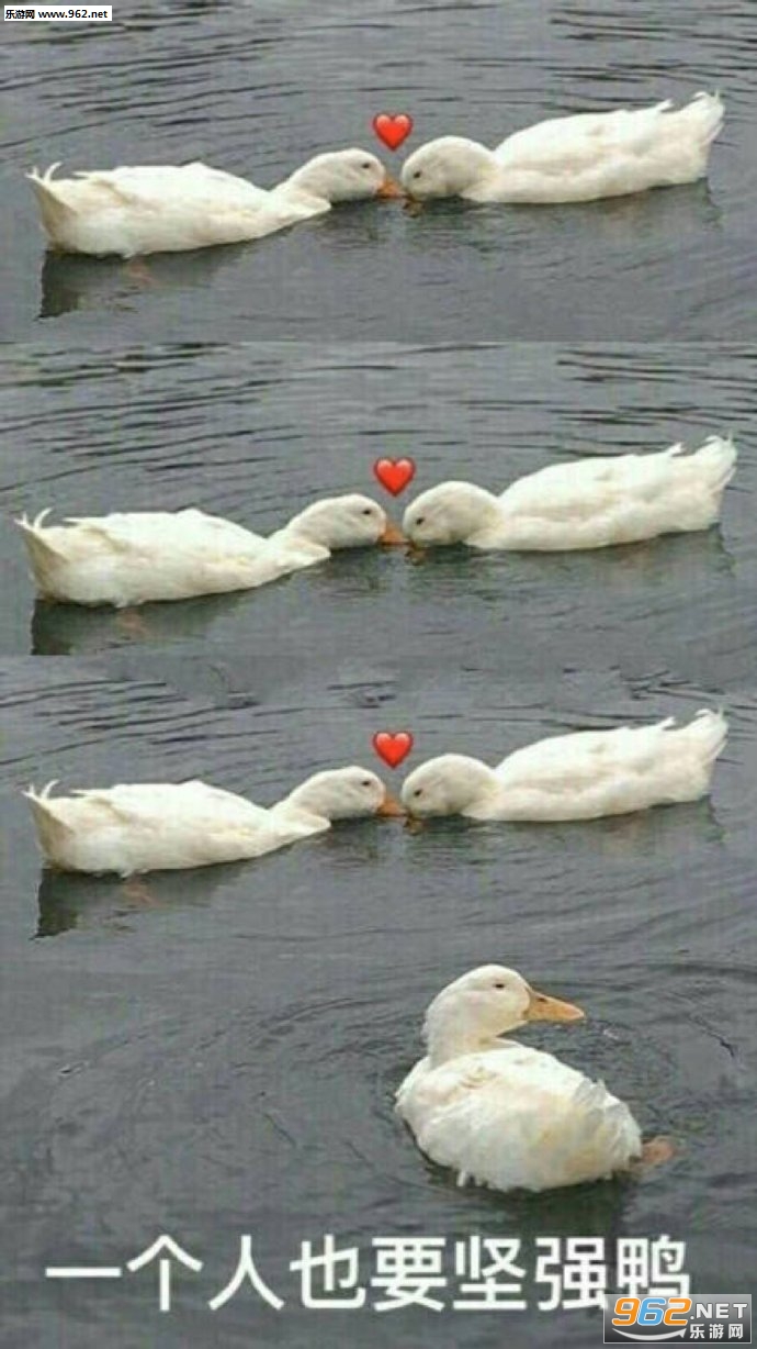 ��ҹ����ͼƬ��ͼ2