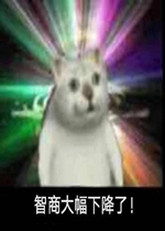 ���̴���½��˱����
