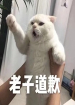 ��ֱ��׳�ĵ�Ǹ�����
