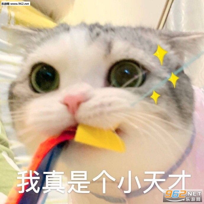�����Ǹ�С��ű������ͼ1