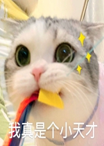 �����Ǹ�С��ű����