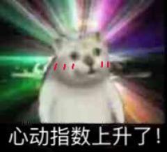 ����è�������ͼ1
