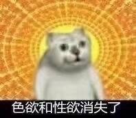 ����è�������ͼ0