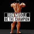 Iron Muscle - Be the champion(Iron Muscle��Ϸ)
