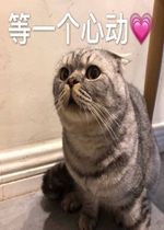 ��һ���Ķ������