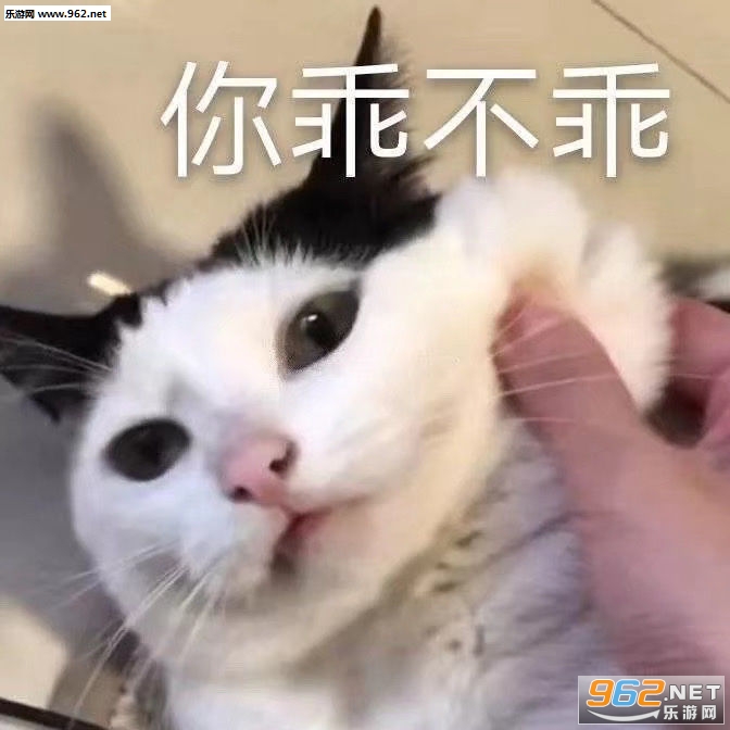 �㿴������������Ǯ��������ͼ3