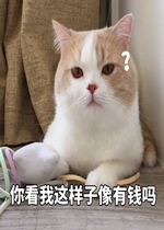 �㿴������������Ǯ������