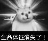 ����������ʧ�˱������ͼ5