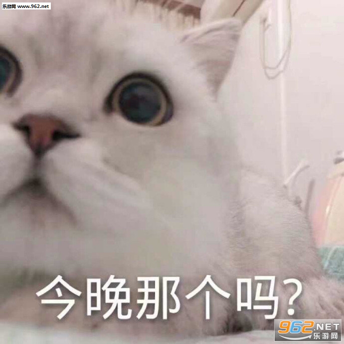 ��˵�˿�Ůװ��ͼƬ�������ͼ5