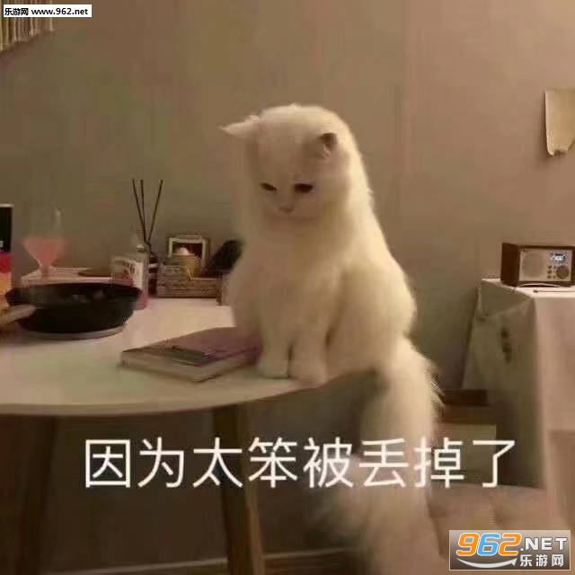 ��Ϊ̫���������˱������ͼ0