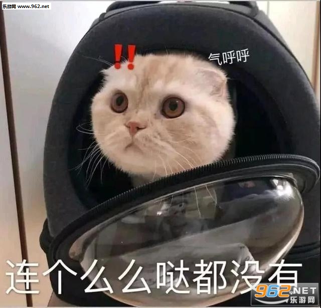��Ϊ̫���������˱������ͼ10