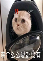 ��Ϊ̫���������˱����