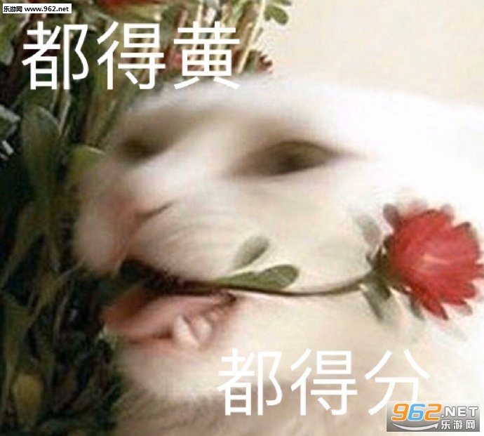 ����С��ǣ������ͷ������Ȧ����ͼȫ��ͼƬ��ͼ8