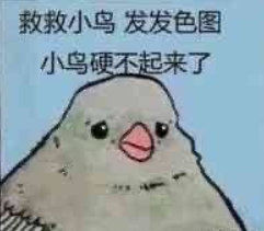 ����С��ǣ������ͷ������Ȧ����ͼȫ��ͼƬ��ͼ9