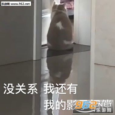 �㵹�����װ��������ͼ3