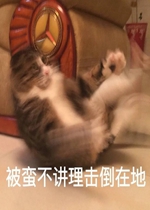 ���������������ڵر����