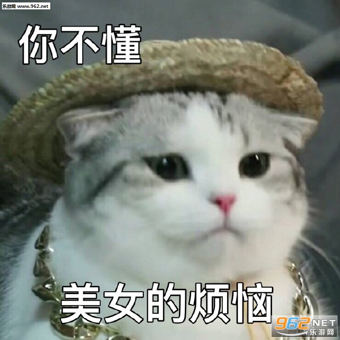 ����ӡ�˵ȵ��ұ������ͼ4