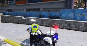 Police set weapons patrol simulator(模拟特警巡逻游戏)截图0