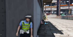 Police set weapons patrol simulator(模拟特警巡逻游戏)截图1
