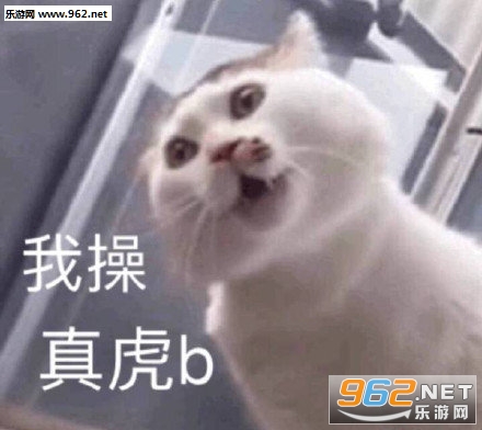 ����Թ����������ͼ1