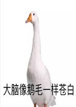����Թ��������