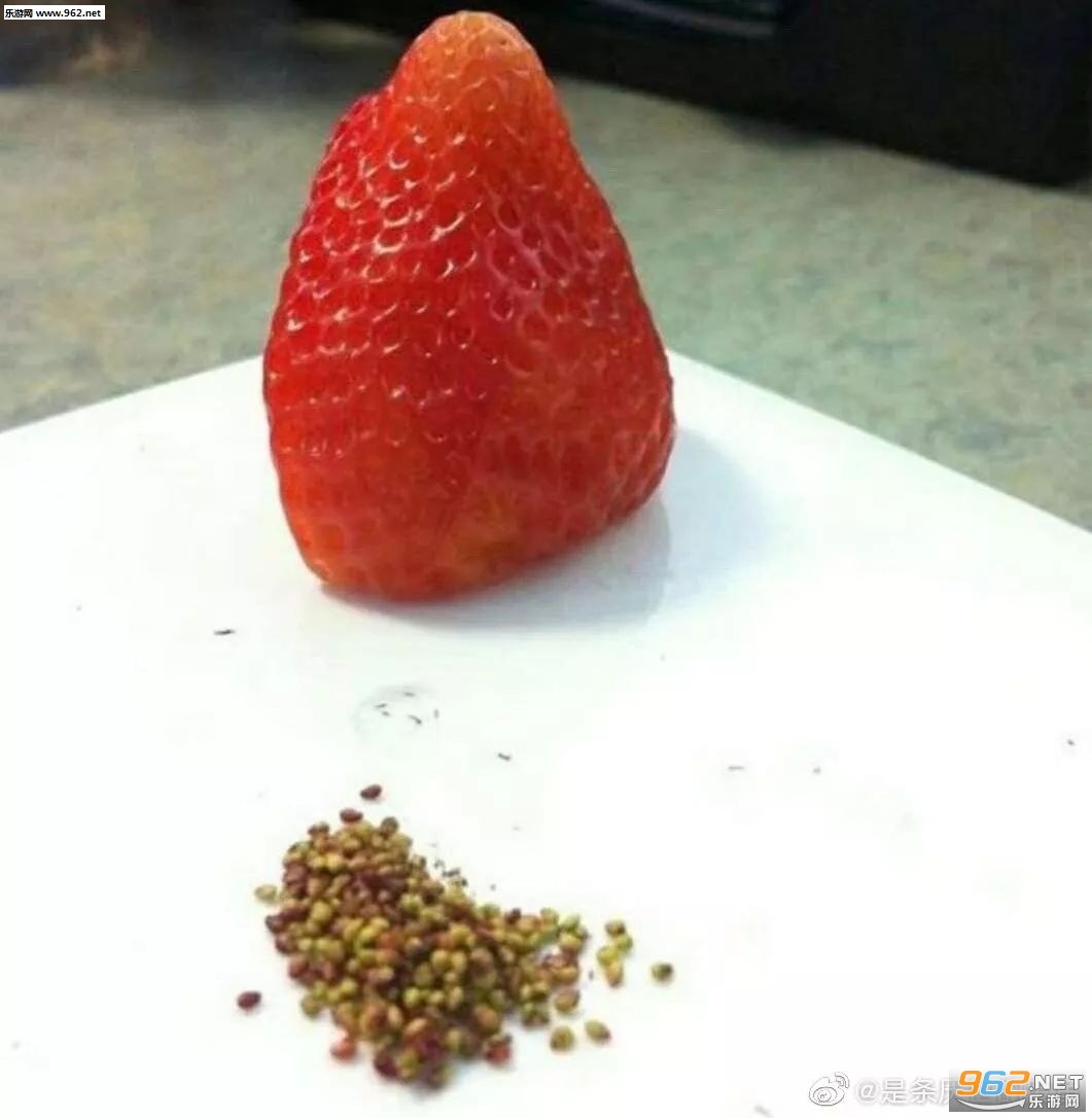 �ڼ����ĵ�ͼƬ��ЦͼƬ��ͼ1