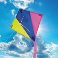 Kite Flyng 3D(���ݴ���ս3D��Ϸ)