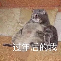 ����С���ı������ͼ3