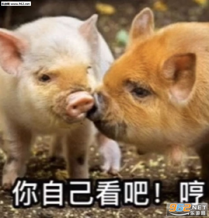 ��Ҫ������ĸ���˵���±����
