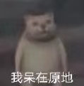Сè��ֹͣ��˼�������
