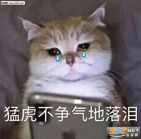 Ц��΢Ц�ѿ������