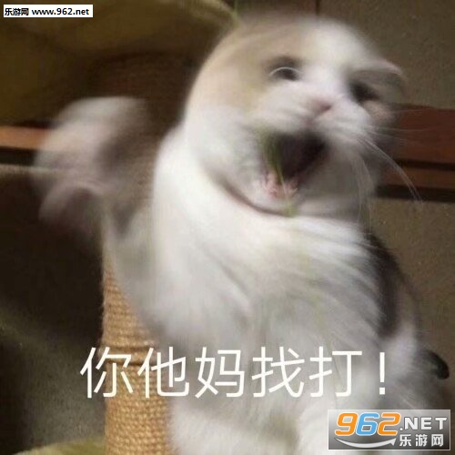 ��Ͷ�����˱����