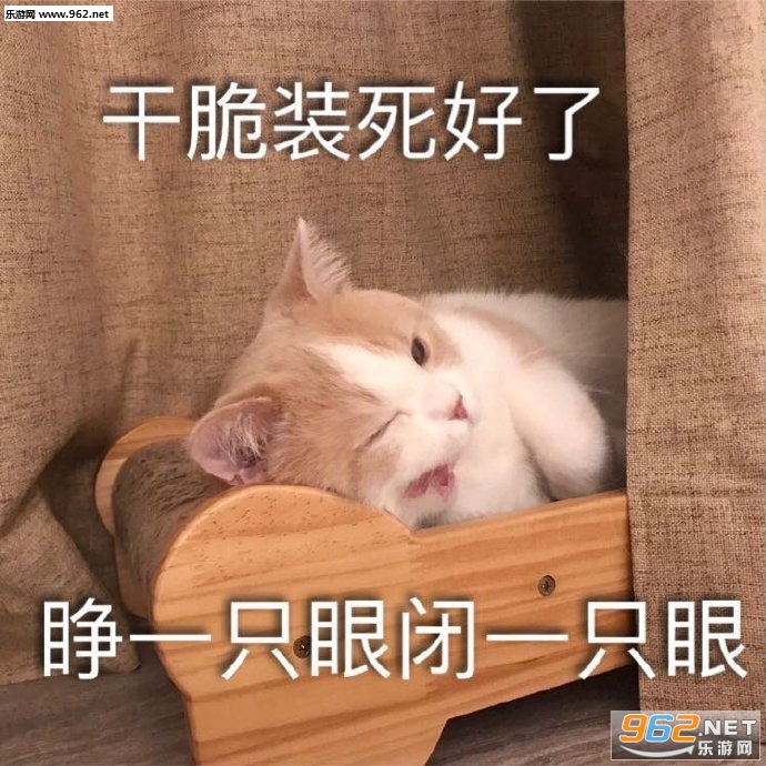 ��Ͷ�����˱����