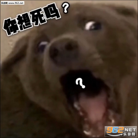 Ӣ�����������