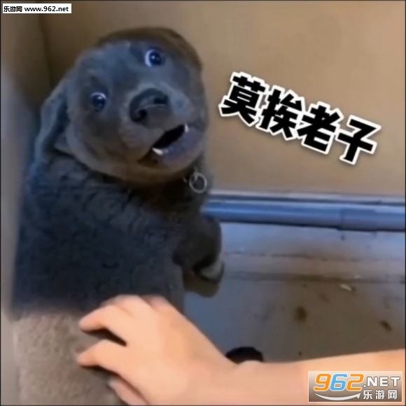 Ӣ�����������