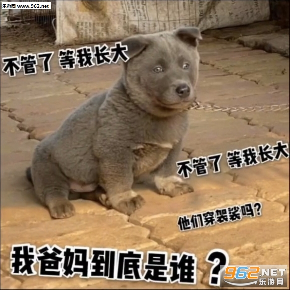 Ӣ�����������